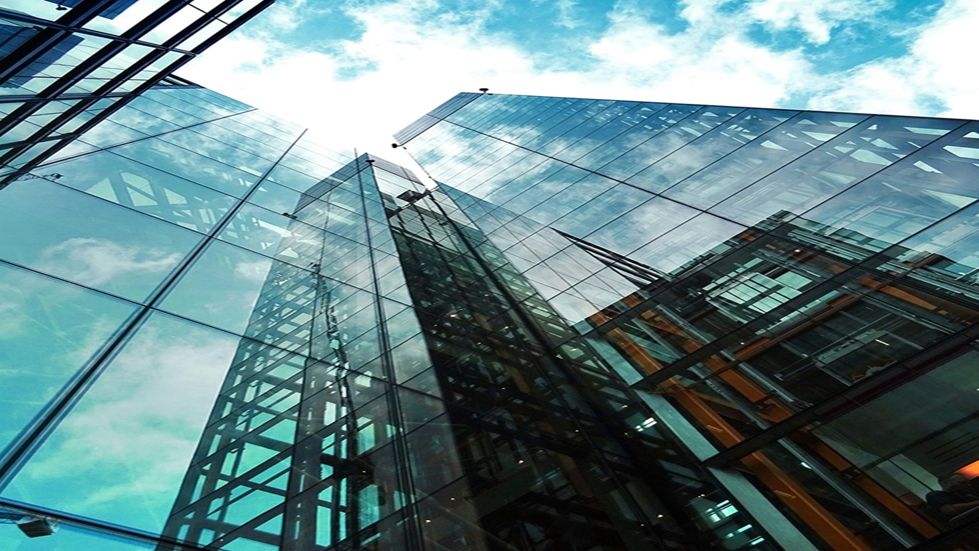 주문진 라일플로리스 벨벳