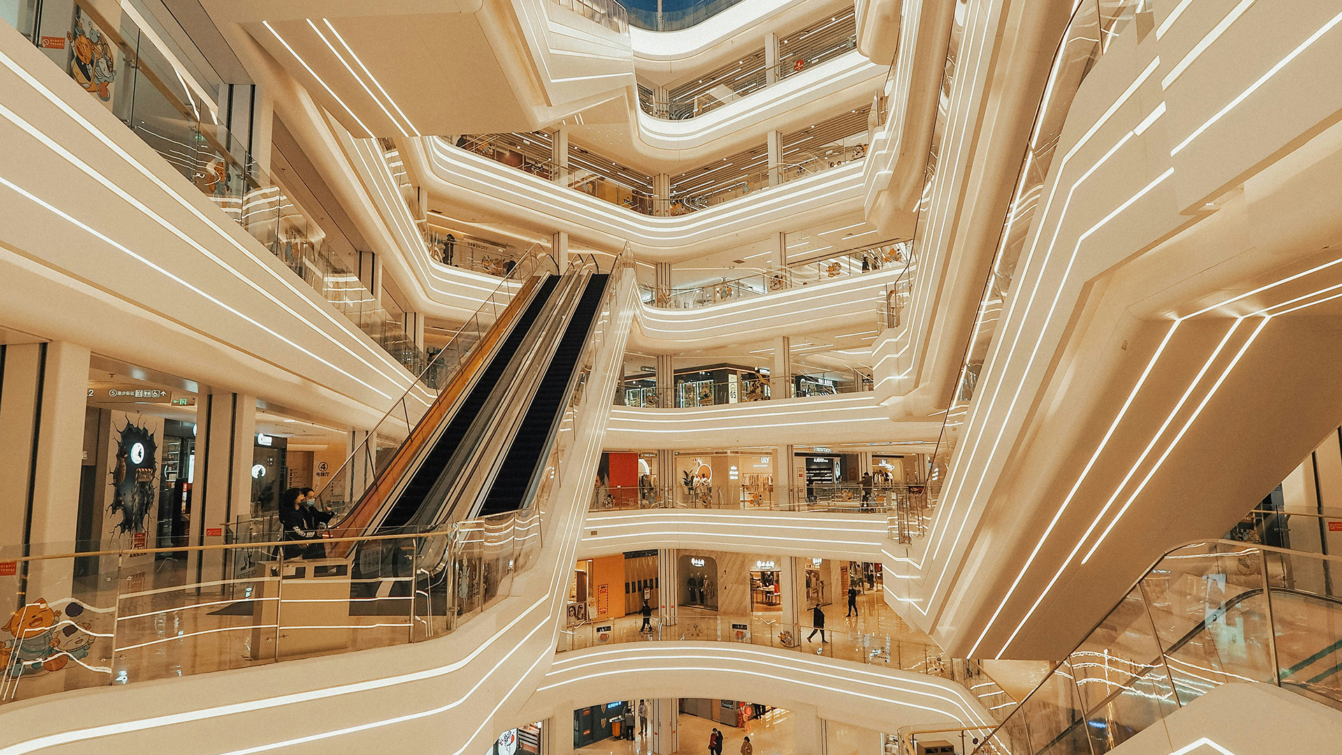 주문진 라일플로리스 벨벳