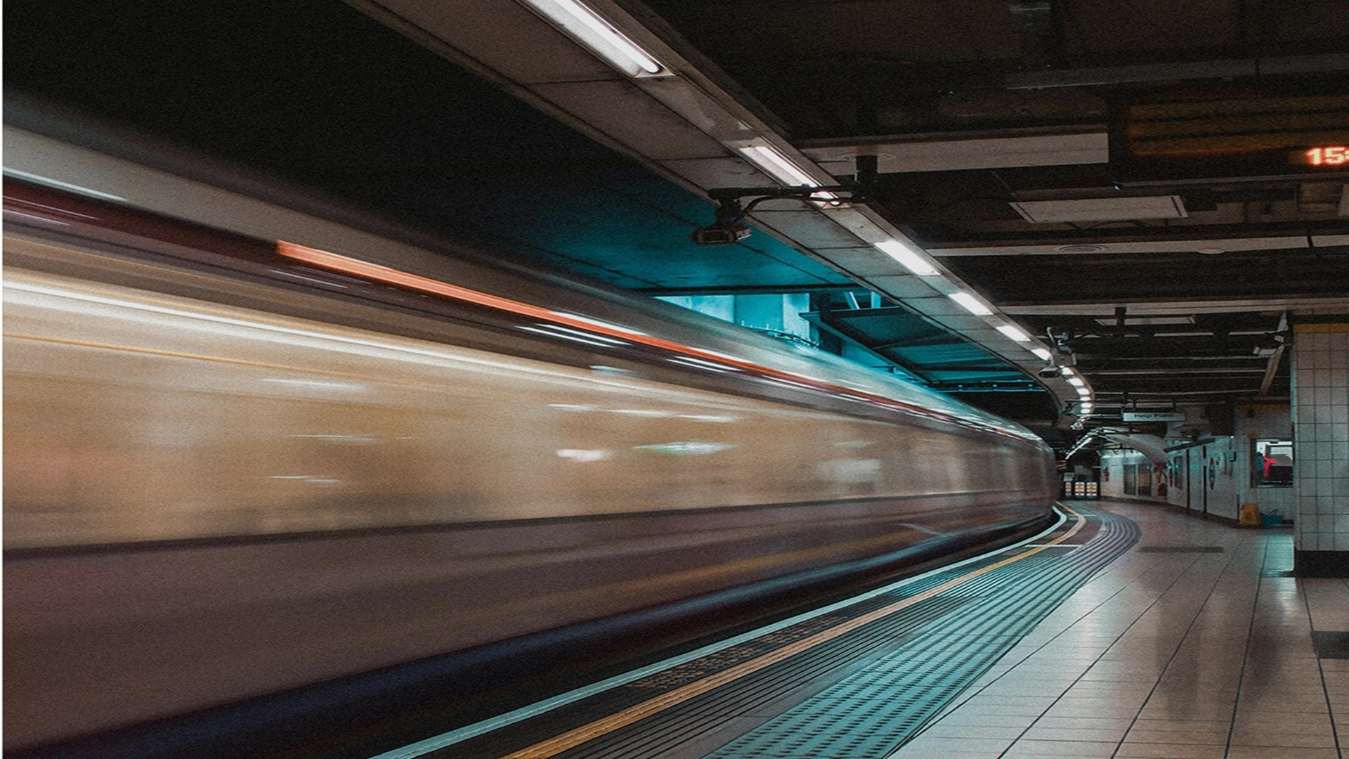 주문진 라일플로리스 벨벳